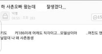 팩트