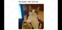 착한 얼굴에 그렇지 못한 태도