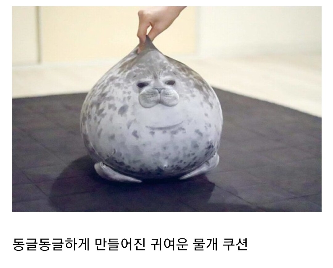귀여운 물개 쿠션을 만든 사람이 사과한 이유 - OP.GG