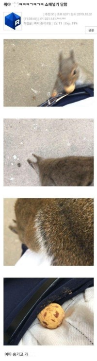 아니 시바 소매넣기당함;;