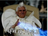 에코