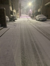 눈 실화냐