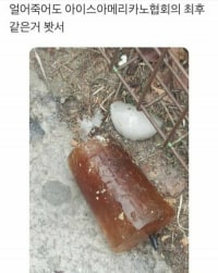 얼죽아협회의 최후