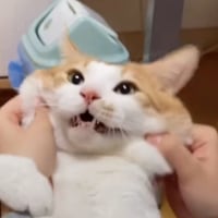 횐님덜,, 굿밤입니다