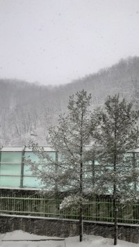 와 밖에