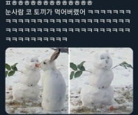 Found the culprit who messed with the snowman