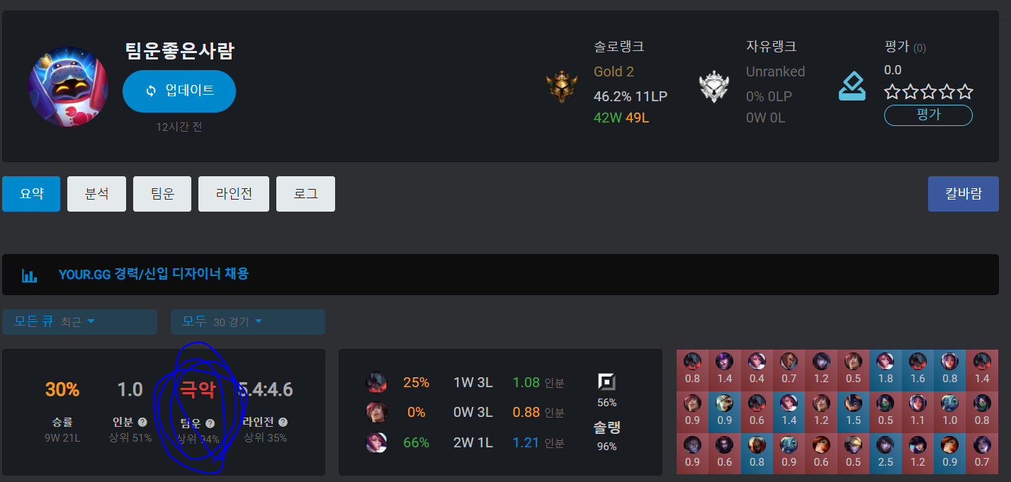 op.gg.PNG