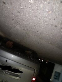 고양이가 막 아기울음소리같은거내는데