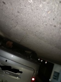 나혼자 호들갑;