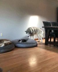 거기...제자리인데요...