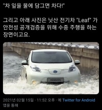 차 잎을 물에 담그면 차다!