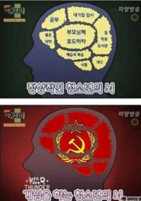 게임을 하는 청소년의 뇌