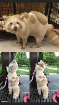 등에다 발 만들기
