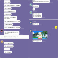 알리샤가 뭔데...