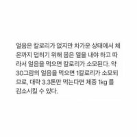 얼음 먹어서 살빼는법