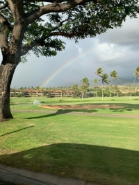 예전에 하와이 여행 갔을 때 찍은 사진