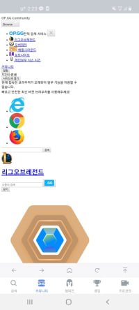 OP.GG 이스터에그?발견