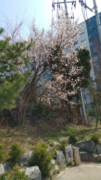 내일도 오늘처럼 좋은 날만 있기를