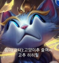any opgg bro know how to edit this