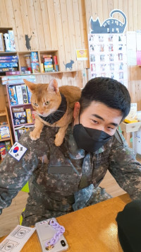 미안하다, 치트키좀 쓸게