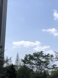 남자의 소중이 모양 구름 발견함