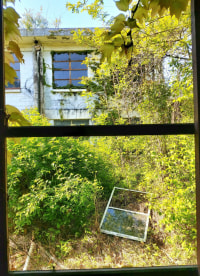 사진 느낌 있지않냐