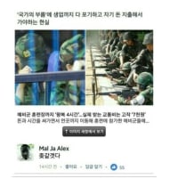 외국인이 생각하는 한국예비군