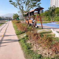 귀여운 할아버지들 발견 ㅇ.ㅇ