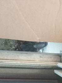 에어컨 실외기 비둘기...