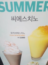 "서폿 야발놈아 왜 자꾸"