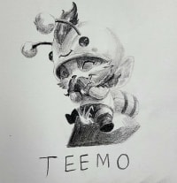 티모 낛
