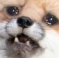 호에에엥