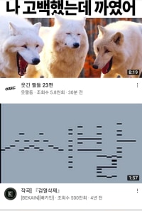 유튭보는데