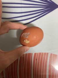 해치웠나?