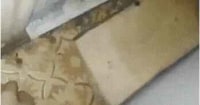 지하실을 막은 판자를 함부로 들추면 안 되는 이유.gif