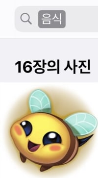 꿀벌=?