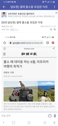 기사 인용의 정석