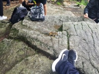 squirrel is so freaking cute lol