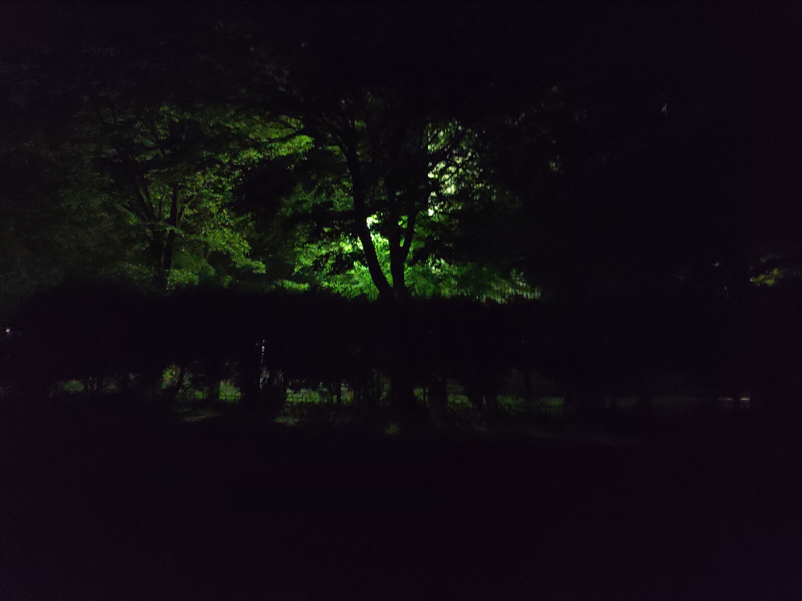 판타지 소설에서나 나올 것 같다