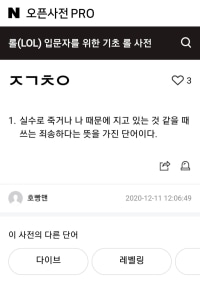 네이버 롤 오픈사전의 문제점
