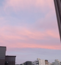 옵붕이 사진 평가좀