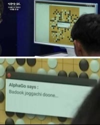 알파고에게 지면 뜨는 메시지