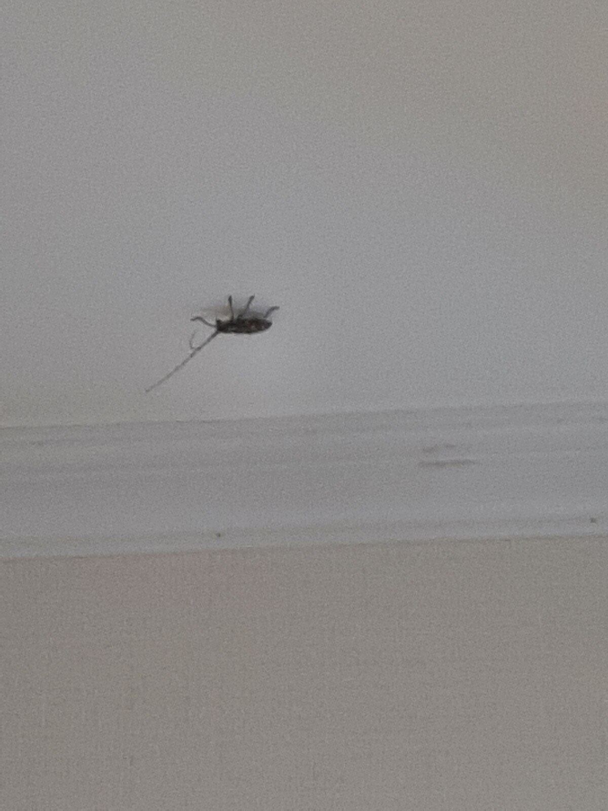 뭐임?