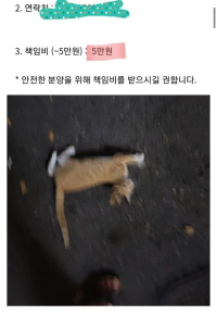 캣맘충들 신개념 용돈벌이