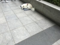 난 이상하게
