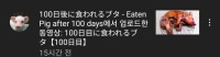 100일동안 키워지고 결국 잡아먹힌 돼지