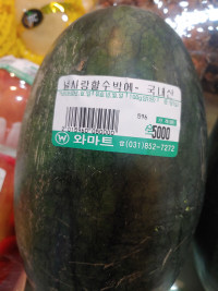 옵붕이 고백받음