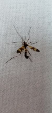 이섀끼 뭐냐(혐주의)