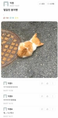 길가다 붕어빵 주움