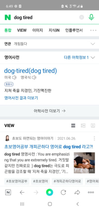 개피곤해는 영어로 dog tired